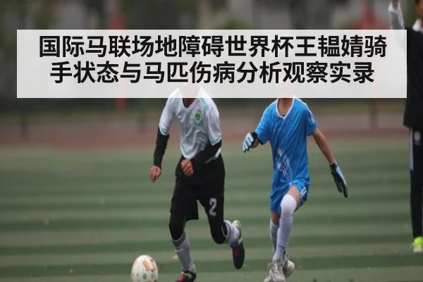 国际马联场地障碍世界杯王韫婧骑手状态与马匹伤病分析观察实录